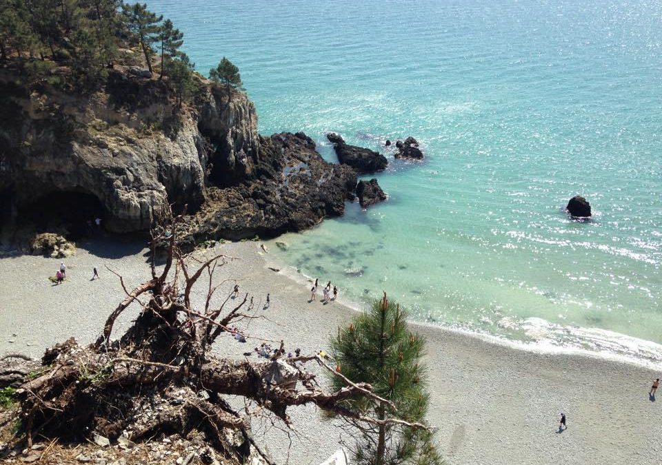 7# Crozon