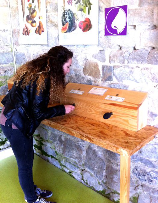 4# Légumes Project